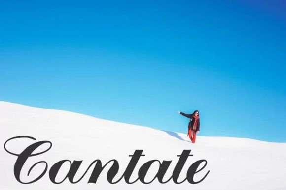 Cantate: The Bold Script Typeface for Handmade Brands